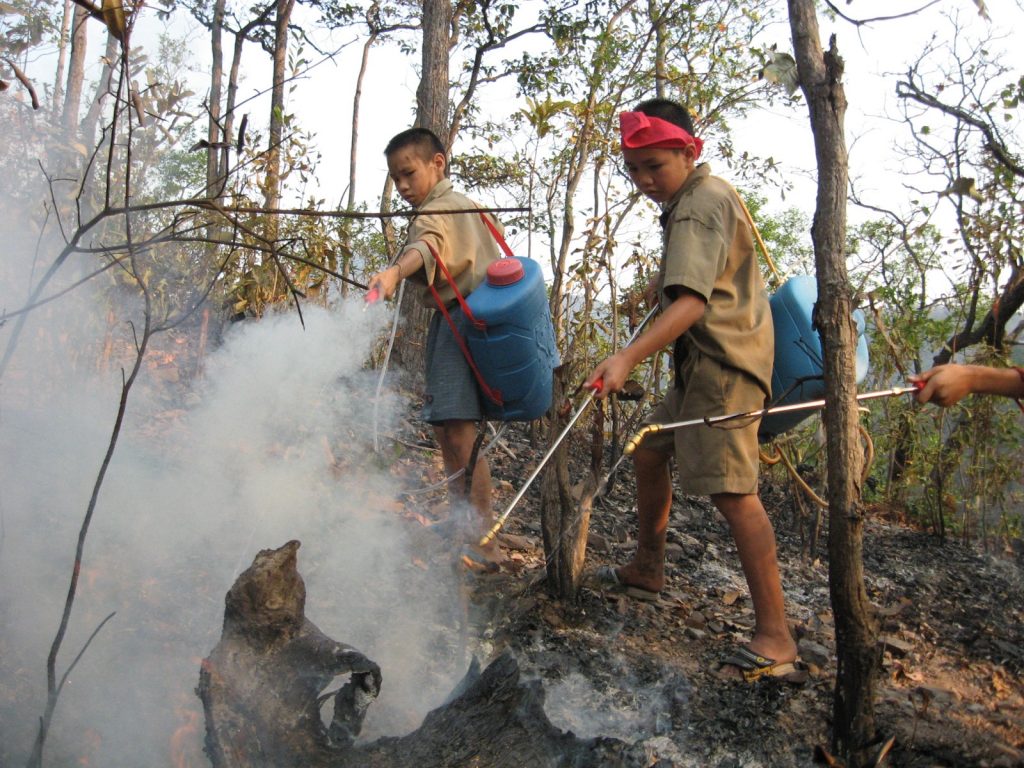 Students putting out a forest fire
