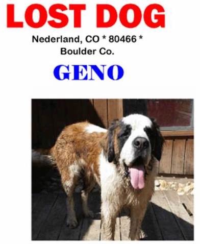Redacted flyer for a firefighter’s missing dog Geno after the Cold Springs Fire